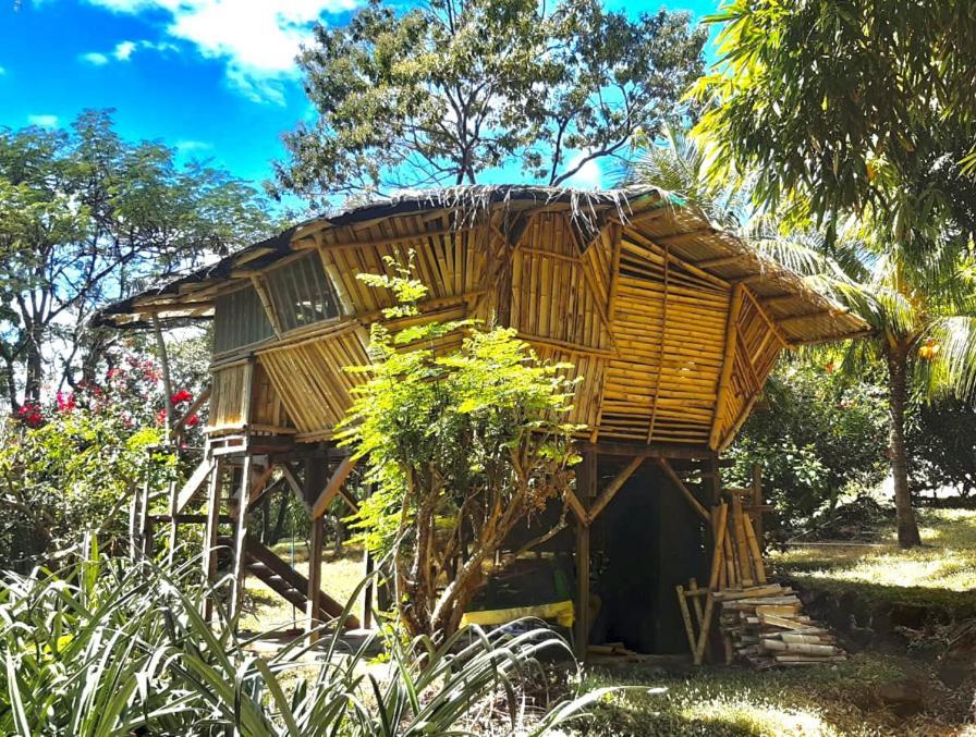 Finca La Magia Ometepe Esterno foto
